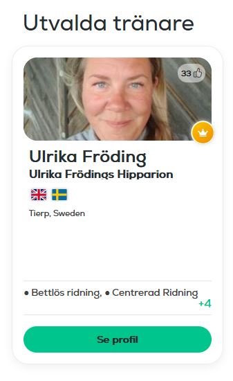 Klicka här för att komma till min profil på RideSum.se!